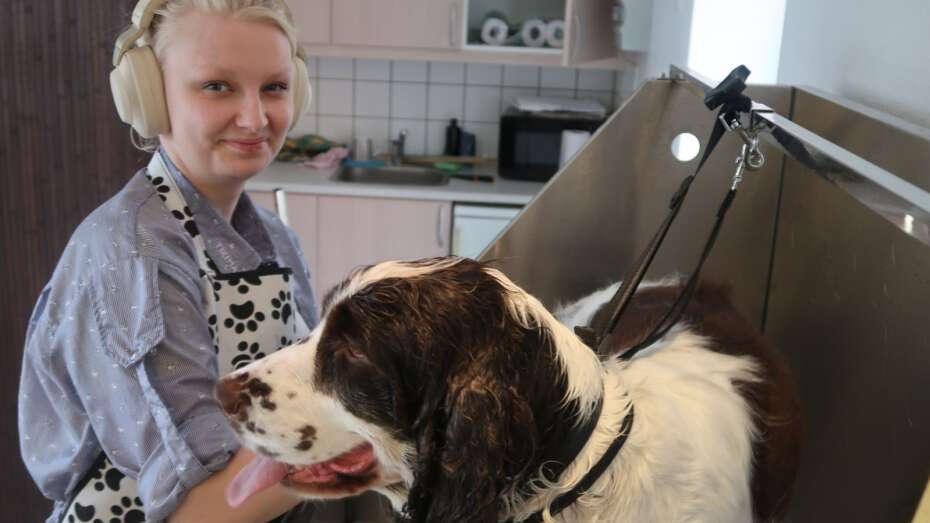 læser Ekstraordinær kulhydrat Hunde skal trænes til frisøren | Herning Folkeblad