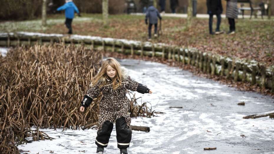 Skift børnenes skærmtid ud med stjernekiggeri leg i naturen | Midtjyllands Avis