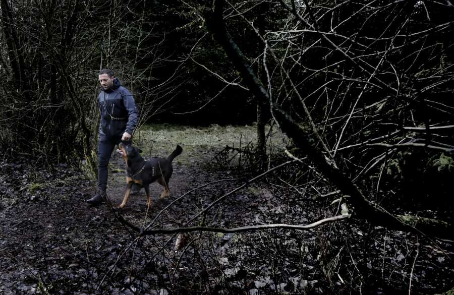 en skov helt for dig selv: Egely Hunde åbner Fristedet Tulstrup | Herning Folkeblad