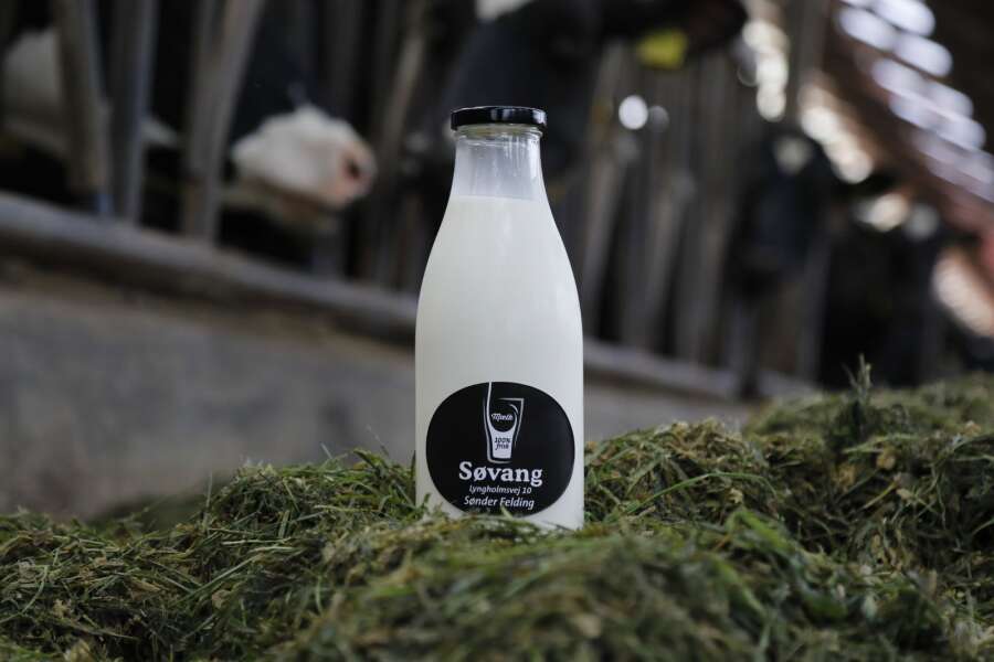 passage lektier Perioperativ periode Ny gårdbutik sælger frisk mælk direkte fra køerne | Herning Folkeblad