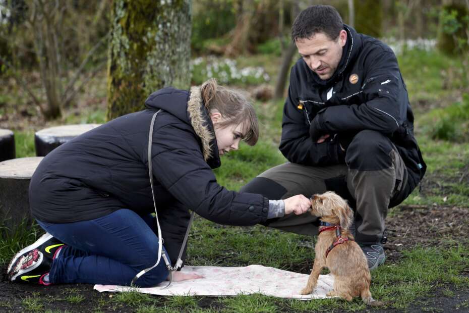 Uhøfligt når som helst forfølgelse Kom med til hundetræning i Kølkær | Herning Folkeblad