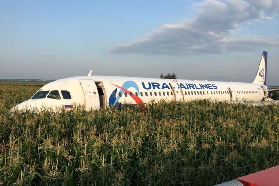 dramatisk Fjernelse Kredsløb Russisk fly nødlander på majsmark efter kollision med måger | Herning  Folkeblad