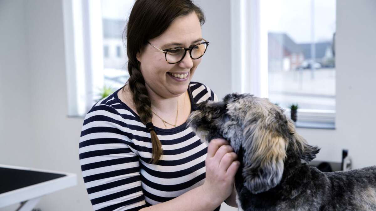 skade forkæle Gå op Hun åbner hundesalon i Tjørring: Har lært at klippe hunde via tonsvis af  Youtube-videoer | Herning Folkeblad