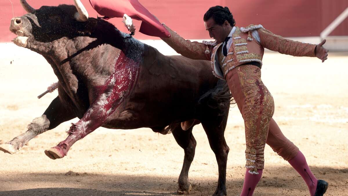 score Scene Diktatur Spansk tyrefægter snubler og bliver stanget ihjel i Frankrig | Herning  Folkeblad